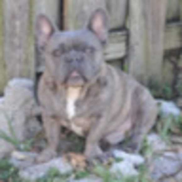 Meet your Posher, Ursula - Picture 1 of 1